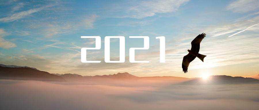 乘“峰”而上，智“盈”未来 ——2021年Z6.COM-尊龙集团环境高级资深副总裁新年开工动员